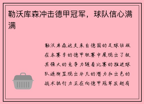 勒沃库森冲击德甲冠军，球队信心满满